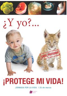 ProtegeVidab