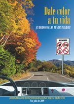trafico