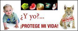 VidaValla2