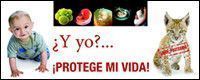 VidaValla3